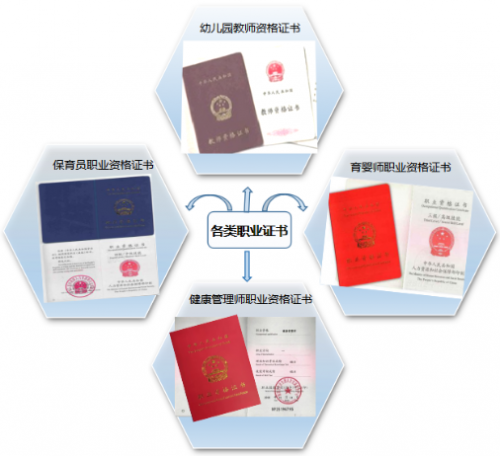 婴幼儿托育服务与管理专业人才培养方案